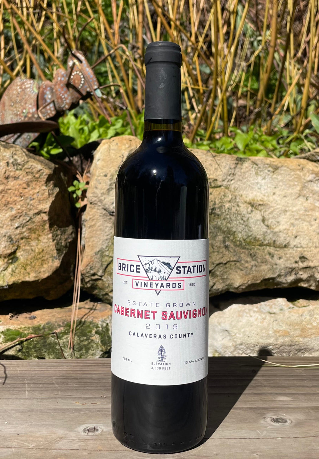 Cabernet Sauvignon 2019